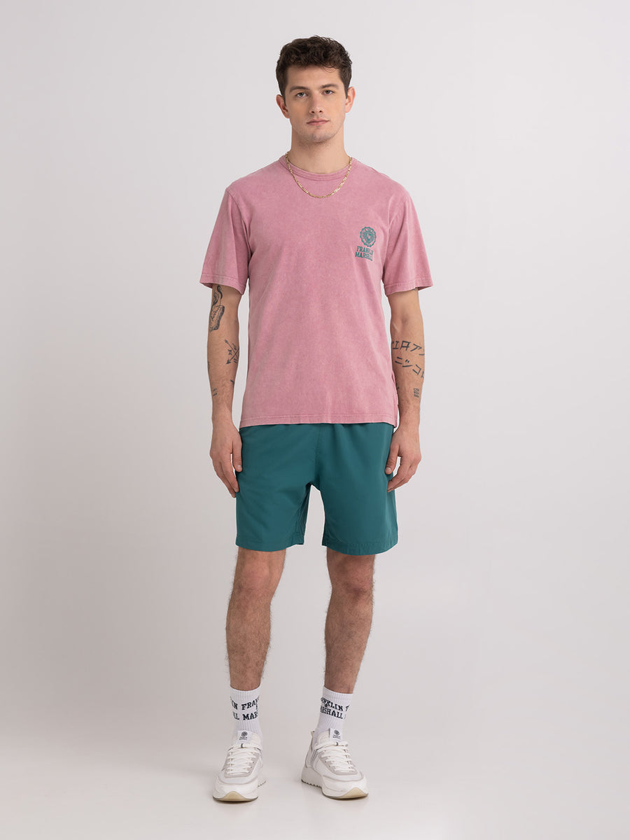 Acid wash garment-dyed t-shirt with Crest logo print