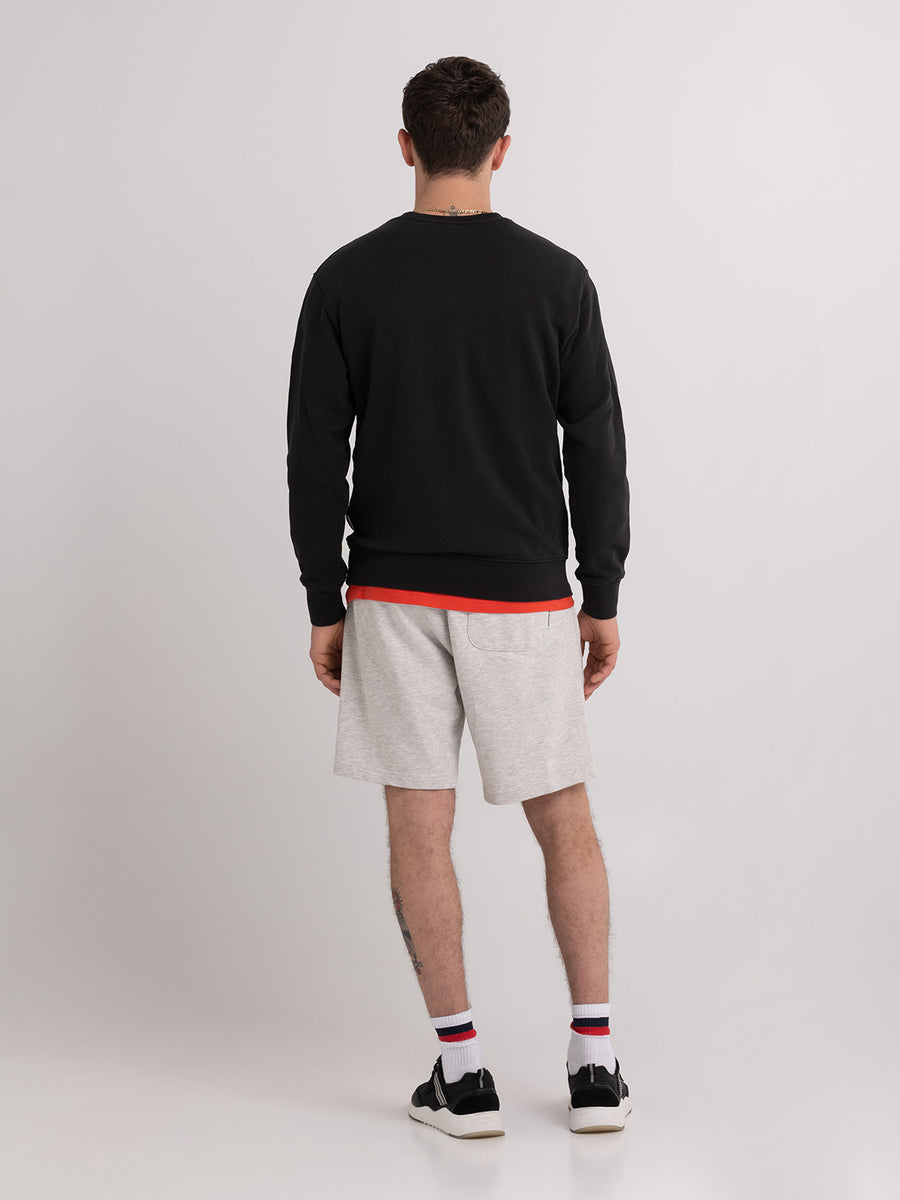 Crewneck sweatshirt with arch letter logo print