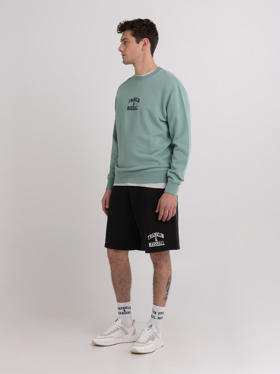 Crewneck sweatshirt with arch letter logo embroidery