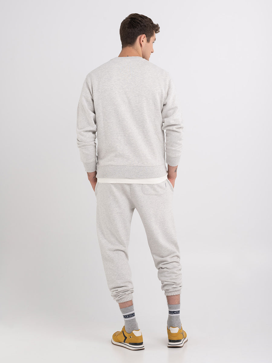 Crewneck sweatshirt with arch letter logo print