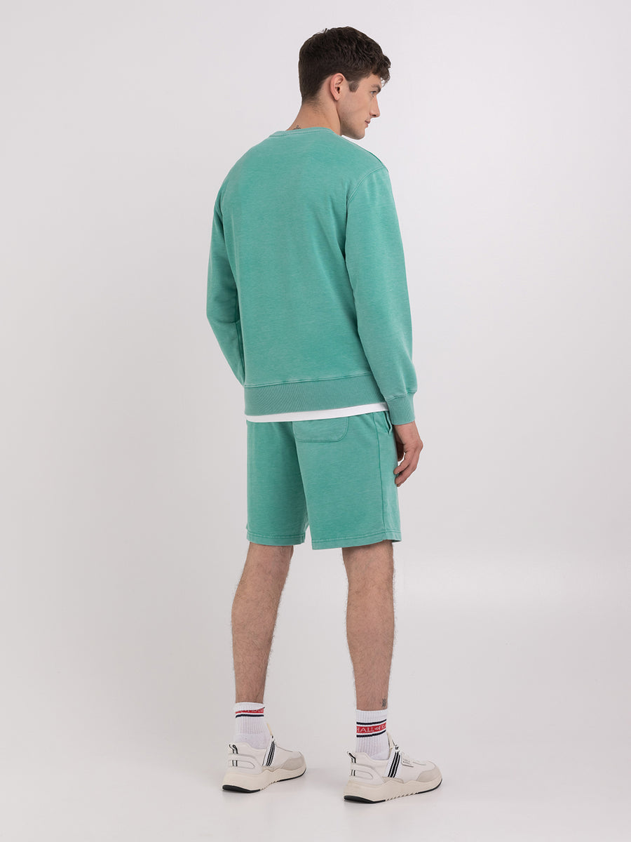 Burn out sweatshirt with Crest logo embroidery